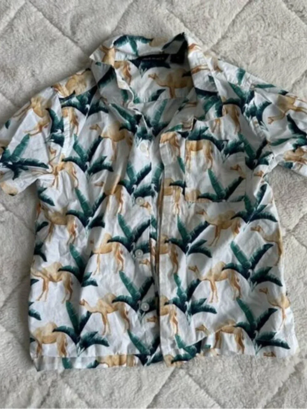 Janie & Jack | Boys Poplin Camel Print Shirt & Swim Trunks | Size 2T/18-24 Month